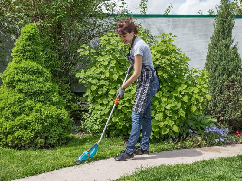 Prêt travaux : l'embellissement de votre jardin
